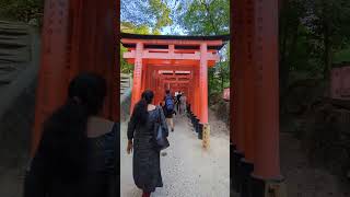 Fushimi Inari Taisha  path of red gates Japan [upl. by Pollock]