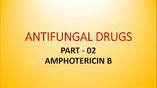 Antifungal Drugs 02 Amphotericin B [upl. by Aihtekal]