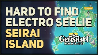 Hard to find Electro Seelie Seirai Island Genshin Impact [upl. by Bellew]