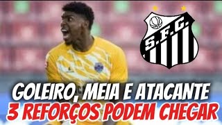 AS ÚLTIMAS DO SANTOS 3 REFORÇOS EM JULHO GARANTE JORNALISTA [upl. by Linsk]