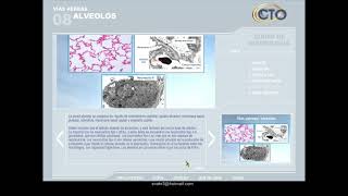 Neumología [upl. by Kellen]