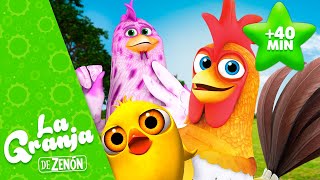 🐓 ¡A Cantar con Bartolito y Más Animales de La Granja de Zenón 2 🐤👨🏼‍🌾 La Granja de Zenón [upl. by Birk]