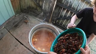 Louisiana Crawfish Boil Season Tradition [upl. by Nosredna]