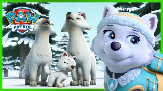 Los cachorros salvan a un lobo blanco  PAW Patrol Episodio Español  Pup Tales Español [upl. by Tiram]