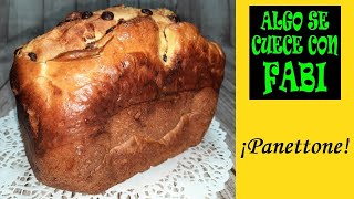 PANETTONE con CHOCOLATE en PANIFICADORA de LIDL Silvercrest F2 ¡FÁCIL Y SABROSO [upl. by Modnar]