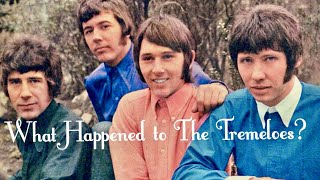 What Happened to The Tremeloes [upl. by Aseefan]