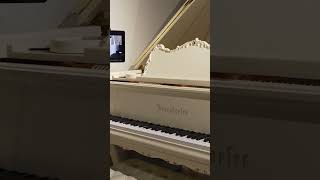 Capture Performances with Disklavier  Bösendorfer 185VC Grand Piano at Classic Pianos Denver [upl. by Annekahs]