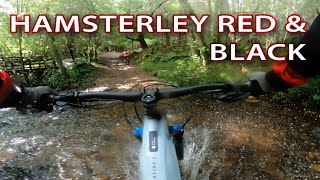 Day out at Hamsterley Forests Red amp Black mtb trails [upl. by Karena182]