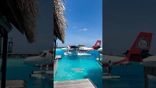 Paradise Island Maldives🏝️ Amazing🐠travel vacation explore viralvideo amazing youtube wow [upl. by Nahtannhoj]