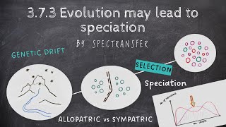 EASY REVISION AQA ALevel Biology 373 Evolution may lead to speciation [upl. by Osman]