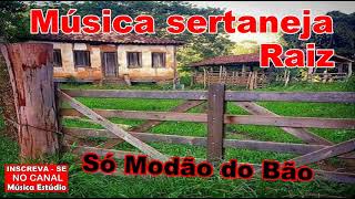 Sertanejo Raiz  Só Modão do Bão [upl. by Retxab]