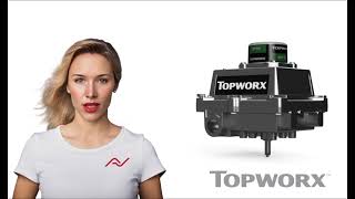 Topworx DXS Switch Box [upl. by Rebeca]