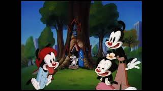 Animaniacs Original  All Segment intros [upl. by Alesi]