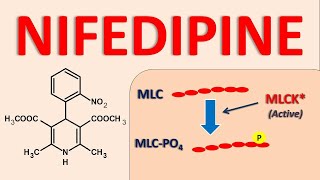 Nifedipine  Mechanism side effects and uses [upl. by Airtina]