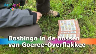 Bosbingo in de bossen van GoereeOverflakkee [upl. by Harragan611]