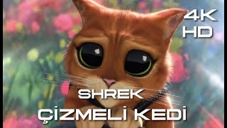 Çizmeli Kedi shrek animasyon [upl. by Thia]