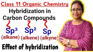 hybridizationhybridization in carbon compounds sp³sp² and sp hybridizationClass 11 Chemistry [upl. by Elesig]