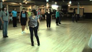 Linedance Lesson Reggae Cowboy Choreo Gene Schrivener Music Bellamy Brother [upl. by Einnahc]