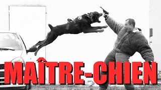 ATTAQUE DE CHIEN  EXAMEN CYNOPHILE [upl. by Aititel]