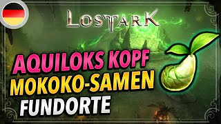 Rethramis  Aquiloks Kopf MOKOKO Samen  Alle 6 Fundorte erklärt  Lost Ark Deutsch Seeds Locations [upl. by Llered]