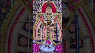 Shri sanvariya Seth ji ka darbar song [upl. by Aleras]