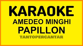 PAPILLON Amedeo Minghi KARAOKE [upl. by Einnus215]