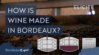 Red Winemaking in Bordeaux Explained [upl. by Thomasine]