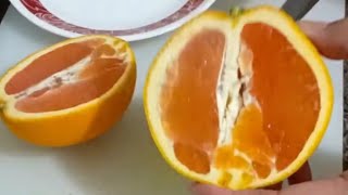 Slice sweet orange [upl. by Sofer]