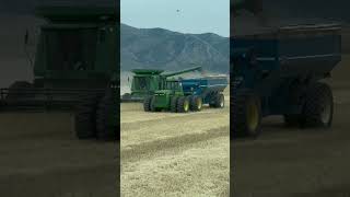 John Deere 9600 and 8850farm wheat farming t [upl. by Ecirtam]