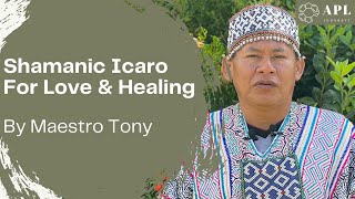 Ayahuasca Icaro Song for Healing amp Attracting Love  Peruvian Shipibo Shaman [upl. by Elleb602]