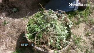 How to Practice Organic Farming [upl. by Ettezil]