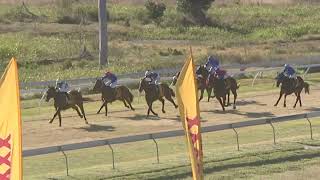 Yeppoon 20240803 Race 4 [upl. by Eimarrej]