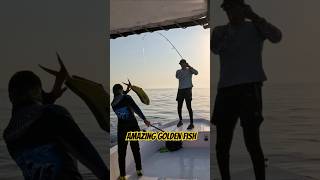 Golden Catch The Matrix fish outdoors fishing shorts [upl. by Viva]