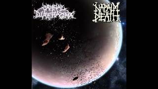 Carnal Diafragma  Unchallenged Hate Napalm Death Cover HQ [upl. by Nickey]