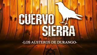 Los Austeros De Durango  quot Cuervo Sierra quot [upl. by Einniw]