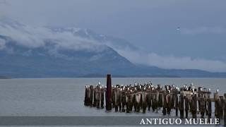 Patagonia 2018  Puerto Natales y Bahia Brazo Ultima Esperanza  Etapa 1 [upl. by Ihskaneem143]