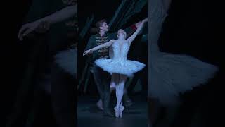 Swan Lake – End of Act II The Royal Ballet shorts RoyalOperaHouse [upl. by Oibaf]