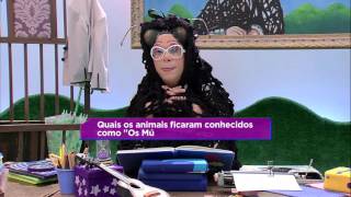 Carochinha Quer Saber  Os Músicos de Bremen  05052016 [upl. by Annaj]