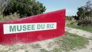 Histoire de la culture du riz en Camargue [upl. by Greerson]