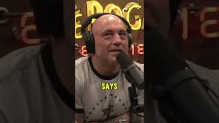 Shane Gillis amp Joe Rogan Bert Kreischer doing Theo Von thing [upl. by Naira]