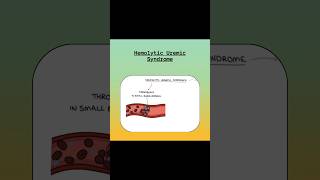 Hemolytic Uremic Syndrome shortsvideo nclex nursingexam youtubeshorts nclexexam [upl. by Rosco]