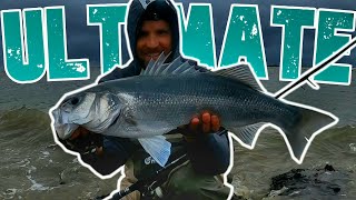 Zeebaars vissen  ULTIMATE FISHING  Sea Bass Wolfsbarsch [upl. by Ardua377]