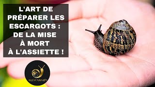 LArt de Préparer les Escargots  De la Mise à Mort à lAssiette [upl. by Holladay]