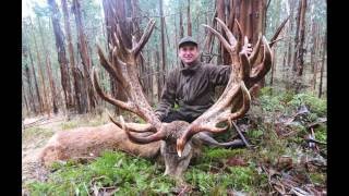 Red stag hunting in New Zealand 2016 [upl. by Nafri]