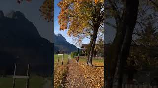 Autumn in Garmisch Germany 🇩🇪 🍂 [upl. by Wells221]