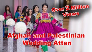 Afghan and Palestinian Wedding Attan Performance [upl. by Tavish]