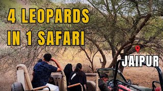 Jhalana Leopard Reserve Safari  Best Sighting in Jaipur Rajasthan [upl. by Aiket]