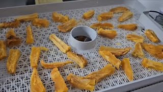 🍠고구마🍠 스낵 만들기 Sweet potato Snack [upl. by Goldia]