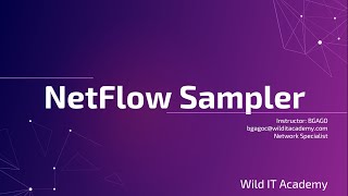 NetFlow Sampler  CCNP ENCOR 350401  Wild IT Academy [upl. by Matti575]