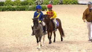 Shetland Pony Race [upl. by Claudine594]